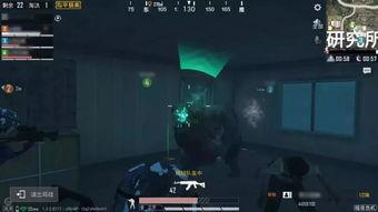 和平精英最新爆料宠物,萌宠助阵，战场新伙伴来袭！