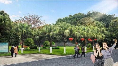 中山公园直播爆料最新情况,揭秘现场盛况与精彩瞬间