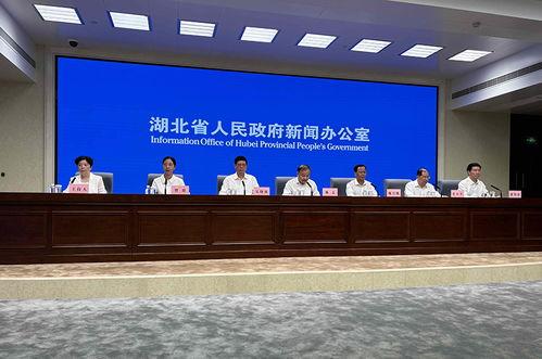 平湖最新爆料案件新闻发布会,新闻发布会揭露案情细节