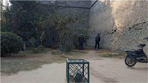 开封网友爆料最新,揭秘古城开封的神秘面纱