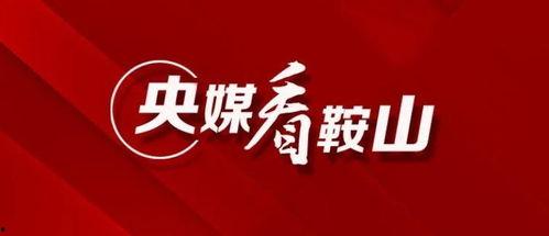 鞍山媒体爆料最新消息,重大事件引发社会关注