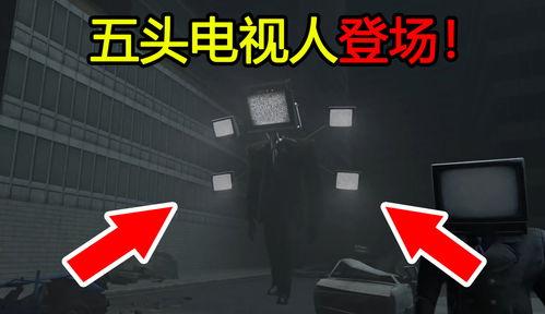 去哪看内鬼爆料视频最新,去哪看内鬼最新爆料视频全解析