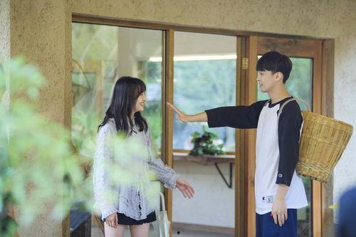 郑爽张恒最新八卦爆料,最新八卦爆料揭秘真相